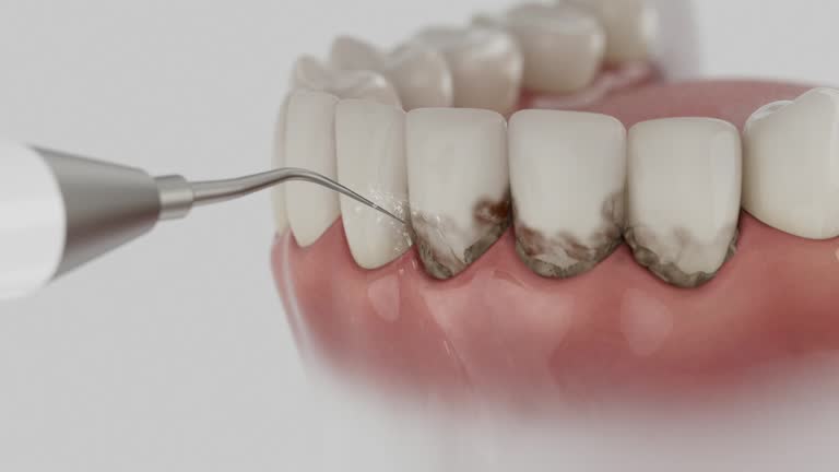 Reliable Dental contractor in Cohoe, AK by Dentist Open Now